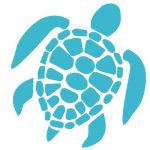 Snorkeling vers la barrière de corail
