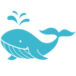 Snorkeling avec la Baleine à bosse