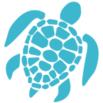 Snorkeling avec des Tortues Marines