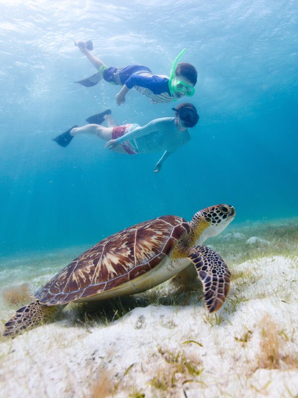 Alina_Tours _Eric_Logo_Nosy_komba_Nosy_be_excursions_bateau_sortie_nosy_iranja_tanikely_sakatia_baleine_requin_manta_tortue_balaine_a_bosse (10)