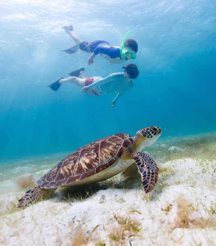 Alina_Tours _Eric_Logo_Nosy_komba_Nosy_be_excursions_bateau_sortie_nosy_iranja_tanikely_sakatia_baleine_requin_manta_tortue_balaine_a_bosse (10)
