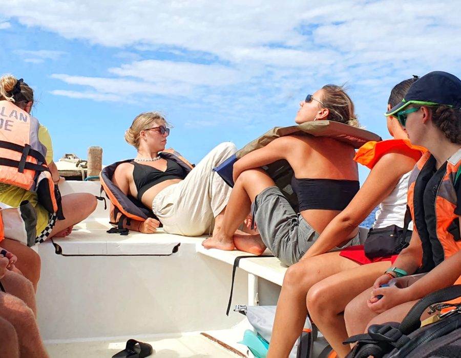 sortie-bateau-alina-trips